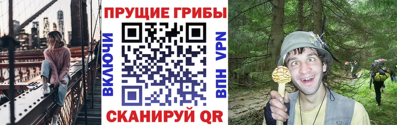 Псилоцибиновые грибы прущие грибы Джанкой