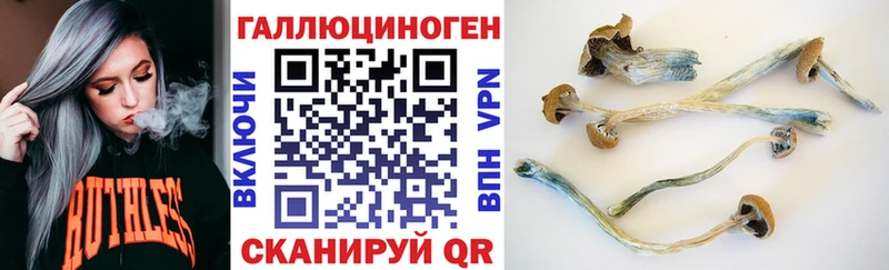 магазин    Джанкой  Псилоцибиновые грибы мухоморы 